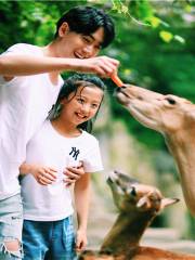 碧峰峽野生動物世界