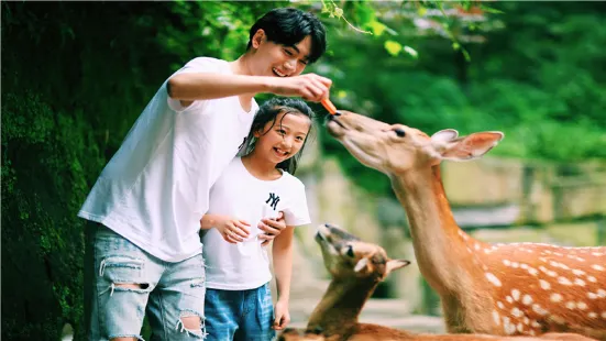 碧峯峽野生動物世界