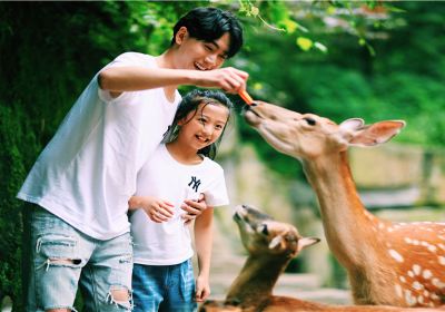 碧峯峽野生動物世界