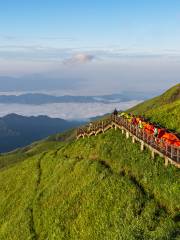 高山草甸