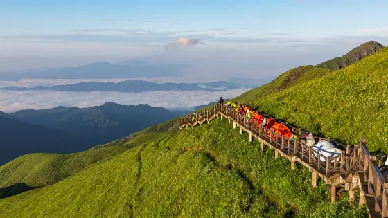 高山草甸