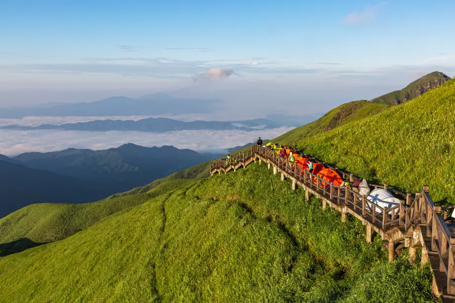 高山草甸