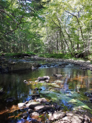 Porters Lake, Nova Scotia