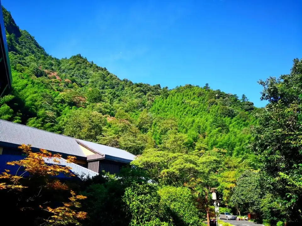 3_Shen Nong Gu National Forest Park
