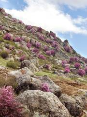 大珠山風景名勝区