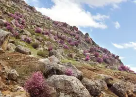 Jiaonan Dazhu Mountain