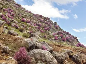 大珠山風景名勝区