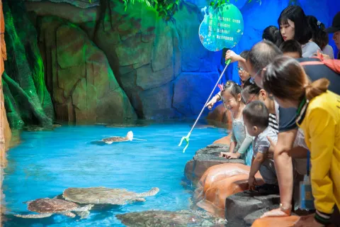 Xuzhou Underwater World