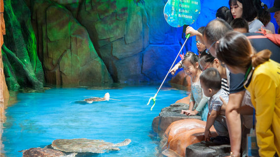 Xuzhou Underwater World