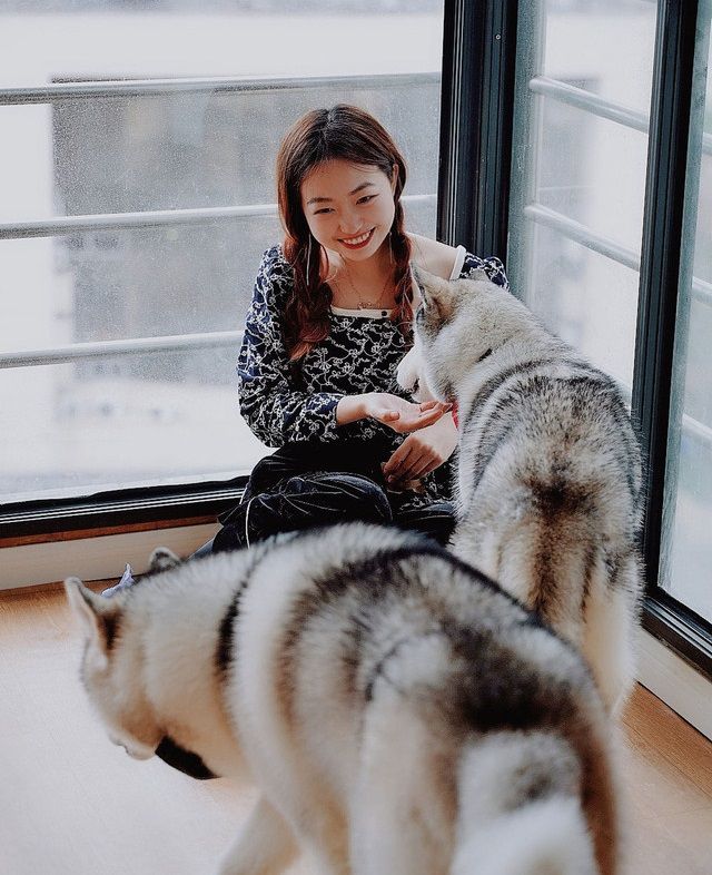 Shanghai’s Husky Experience Center