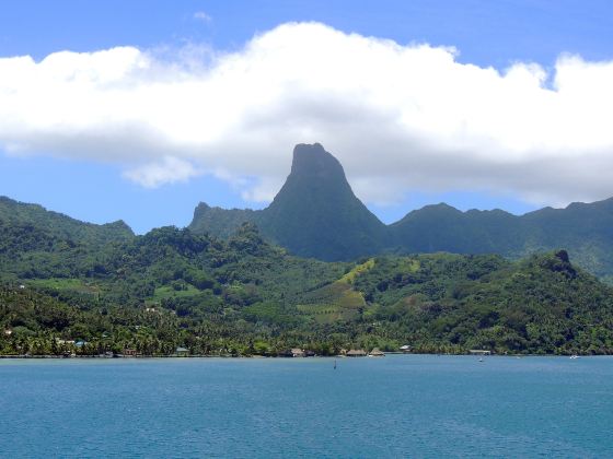 莫雷阿島