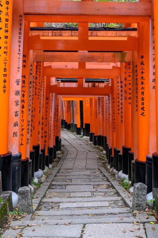 3_Senbon Torii (Thousand Torii Gates)