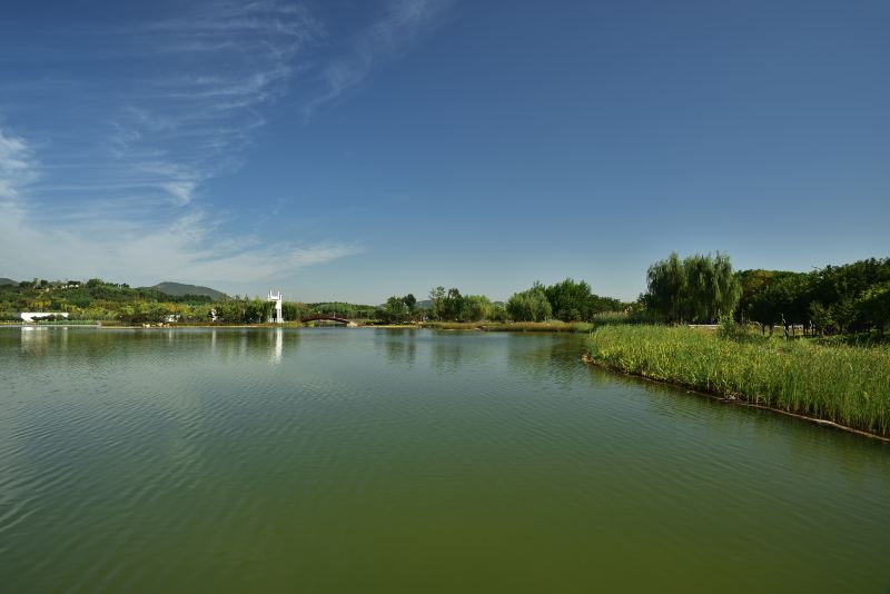 Longquanhu Wetland