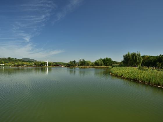 Longquanhu Wetland