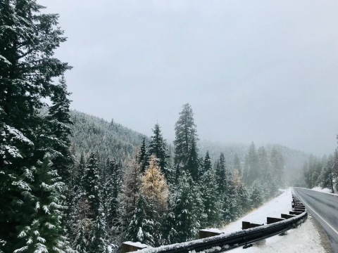 フッド山のレビュー フッド山のチケット フッド山の割引 フッド山の交通機関 所在地 営業時間 フッド山周辺の観光スポット ホテル グルメ Trip Com