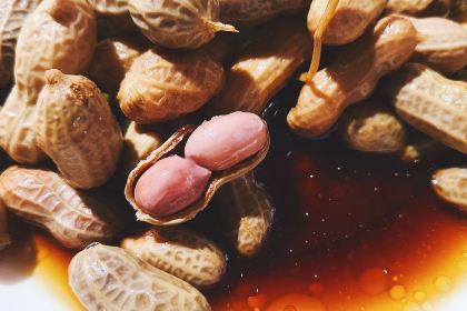 烧烤客栈碳烤羊腿(红叶店)