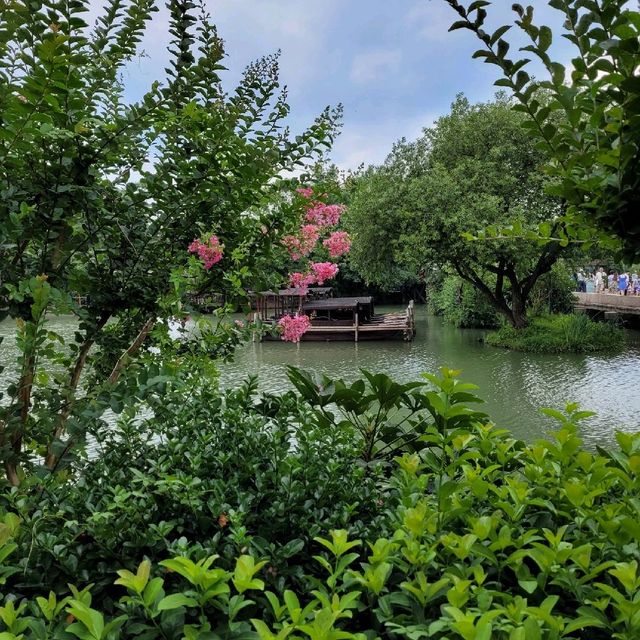 Wuzhen Water Town