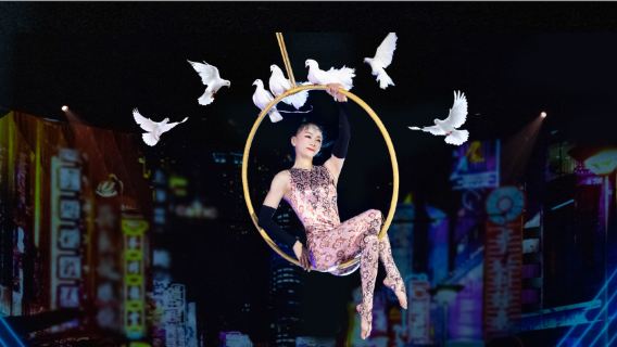 Музей звёздного неба Ван Гога в Шанхае + Акробатическое шоу Circus City ERA: экскурсия на полдня [Шоу в 14:00]