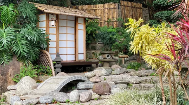 【畢業相最強攻略】盤點全港20個畢業影相打卡好去處