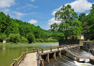 野梅嶺森林公園