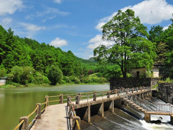 野梅嶺森林公園