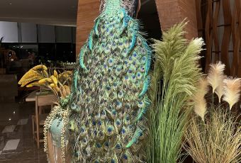 安吉君澜度假酒店·桃源小馆 User Photo