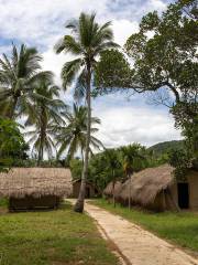 Boat-shaped cottage house in Baicha Village