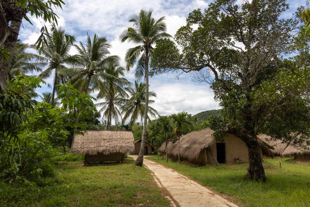 Baicha Village Traditional Settlement of Li Ethnic Group