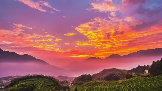 雲和梯田景區九曲雲環