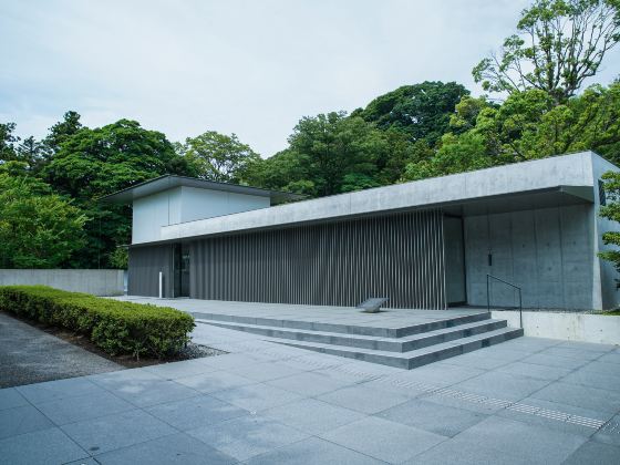 D.T. Suzuki Museum