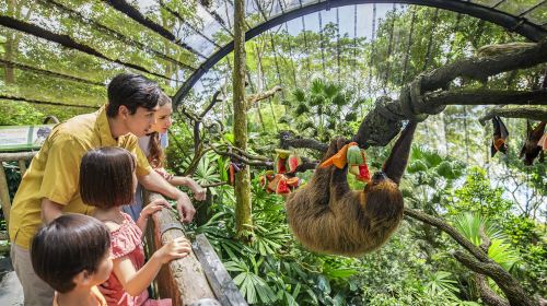 Singapore Zoo