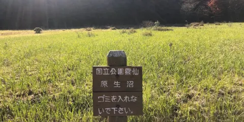 原生沼
