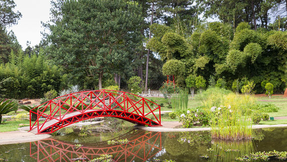 Jardim Botanico de Brasilia