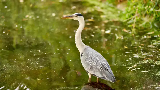 鄰近Clapton Pond的酒店