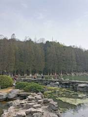 Lugu Park