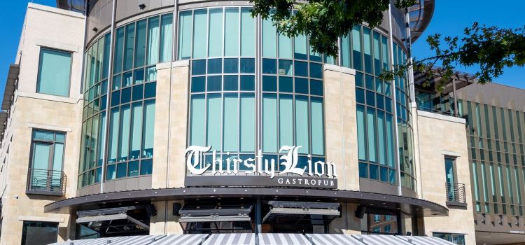 Thirsty Lion Gastropub