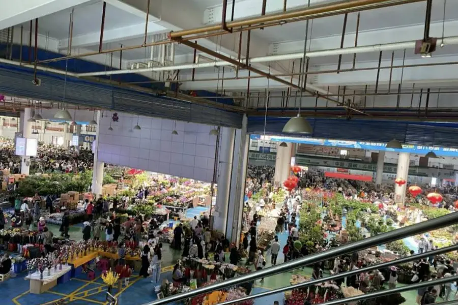 Dounan Flower Fair