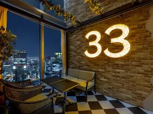THE 33