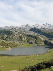 Mirador de Entrelagos