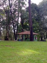 Parque La Pinera