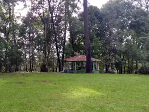 Parque La Pinera