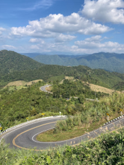 Tortuous road viewpoint