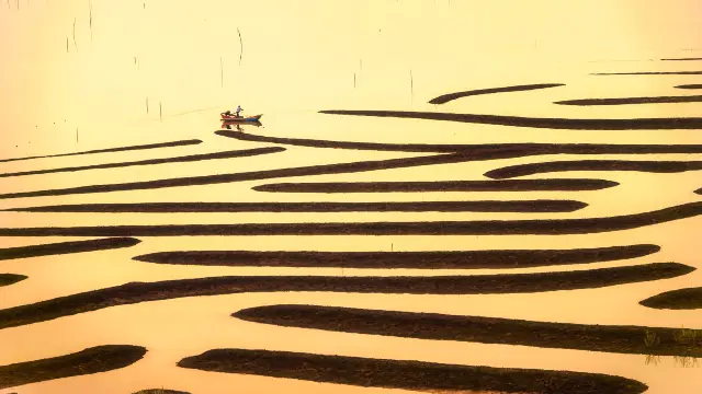 Beachcombing in Xiapu