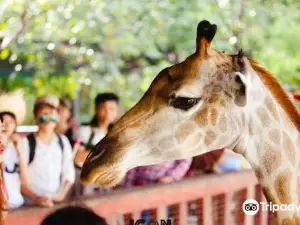 Dai Nam Zoo