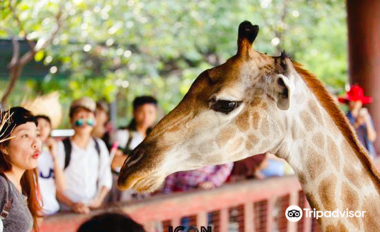 Dai Nam Zoo
