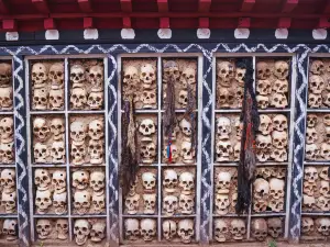 Biru Skull Wall