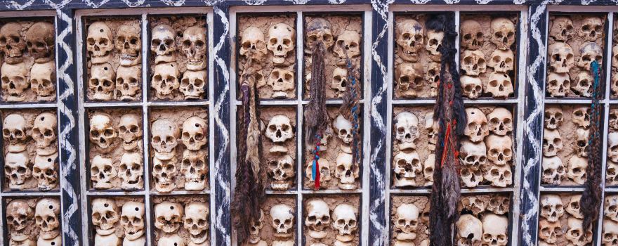 Biru Skull Wall