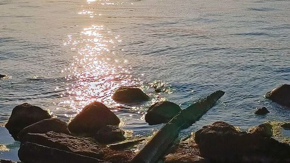 Öresundsbron Viewpoint