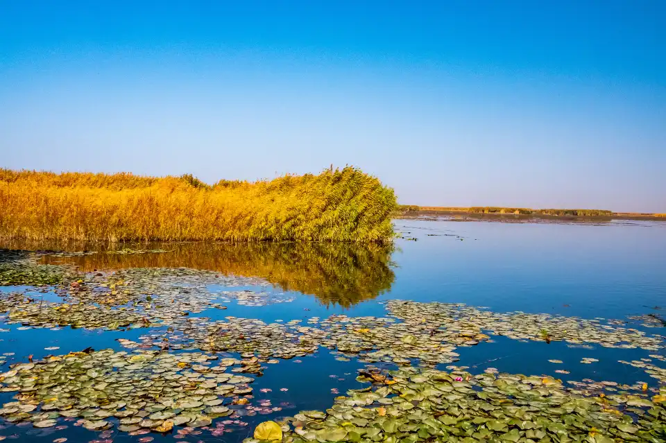 3_Bosten Lake
