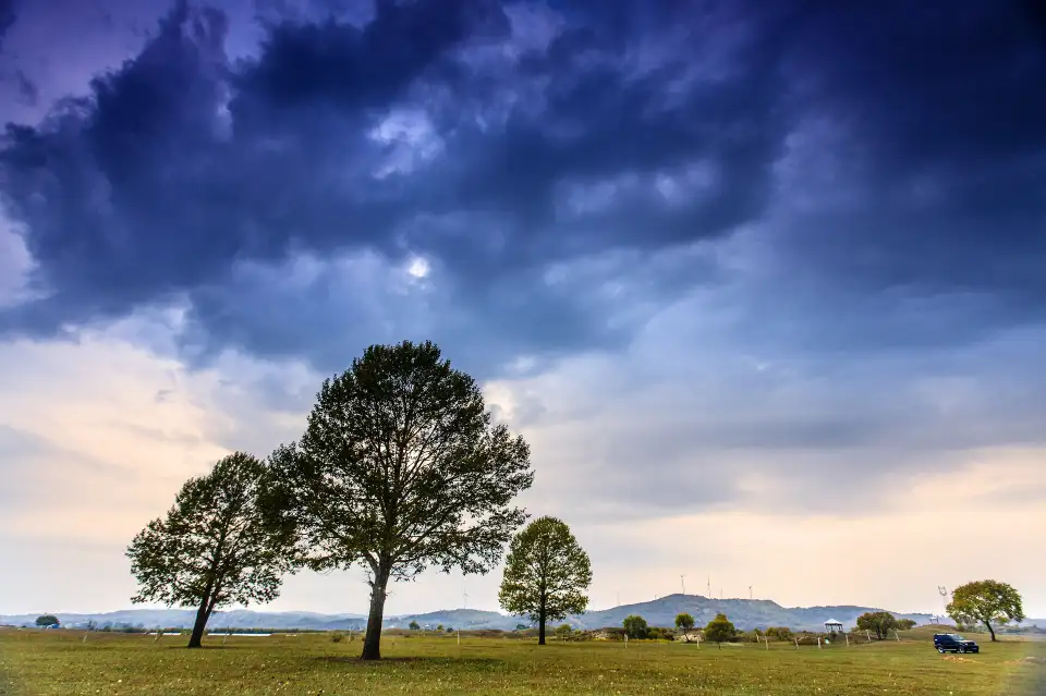 3_Yu Daokou Grassland And Forest Scenic Spot